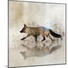 Fox Walk II-Ken Roko-Mounted Art Print