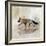 Fox Walk II-Ken Roko-Framed Art Print