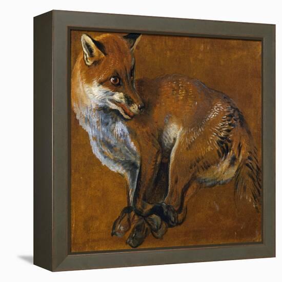 Fox with Legs Tied, by Alexandre-Francois Desportes (1661-1743), France, 18th Century-Alexandre-Francois Desportes-Framed Premier Image Canvas