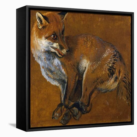 Fox with Legs Tied, by Alexandre-Francois Desportes (1661-1743), France, 18th Century-Alexandre-Francois Desportes-Framed Premier Image Canvas