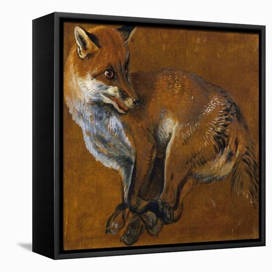 Fox with Legs Tied, by Alexandre-Francois Desportes (1661-1743), France, 18th Century-Alexandre-Francois Desportes-Framed Premier Image Canvas