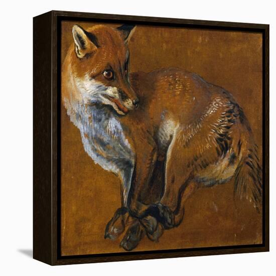 Fox with Legs Tied, by Alexandre-Francois Desportes (1661-1743), France, 18th Century-Alexandre-Francois Desportes-Framed Premier Image Canvas