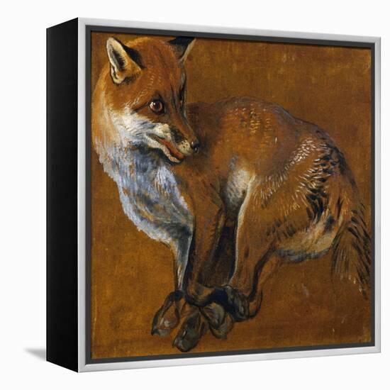 Fox with Legs Tied, by Alexandre-Francois Desportes (1661-1743), France, 18th Century-Alexandre-Francois Desportes-Framed Premier Image Canvas