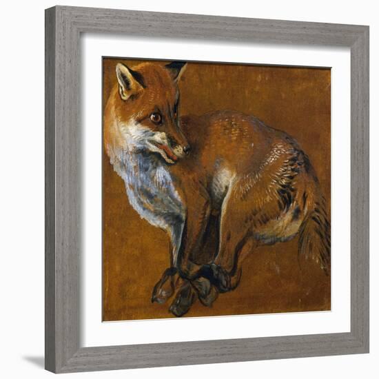 Fox with Legs Tied, by Alexandre-Francois Desportes (1661-1743), France, 18th Century-Alexandre-Francois Desportes-Framed Giclee Print