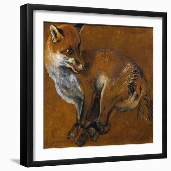 Fox with Legs Tied, by Alexandre-Francois Desportes (1661-1743), France, 18th Century-Alexandre-Francois Desportes-Framed Giclee Print