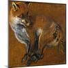 Fox with Legs Tied, by Alexandre-Francois Desportes (1661-1743), France, 18th Century-Alexandre-Francois Desportes-Mounted Giclee Print
