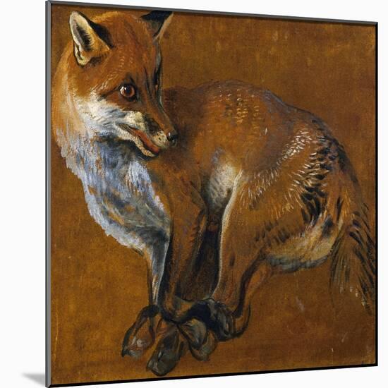 Fox with Legs Tied, by Alexandre-Francois Desportes (1661-1743), France, 18th Century-Alexandre-Francois Desportes-Mounted Giclee Print