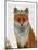 Fox with Tiara, Portrait-Fab Funky-Mounted Art Print