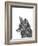 Fox-Lucy Francis-Framed Giclee Print