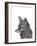 Fox-Lucy Francis-Framed Giclee Print