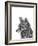 Fox-Lucy Francis-Framed Giclee Print