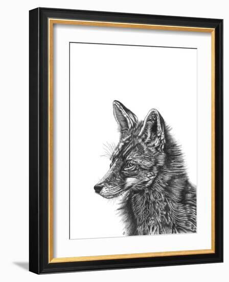 Fox-Lucy Francis-Framed Giclee Print