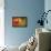 Fox-Robert Adamec-Framed Premier Image Canvas displayed on a wall