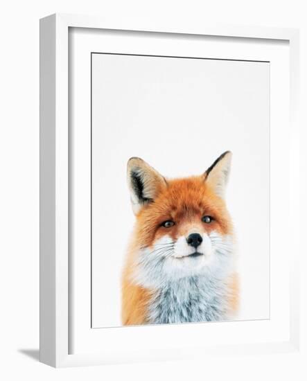 Fox-Tai Prints-Framed Photographic Print