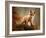 Fox-Robert Adamec-Framed Photographic Print