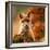 Fox-Robert Adamec-Framed Giclee Print