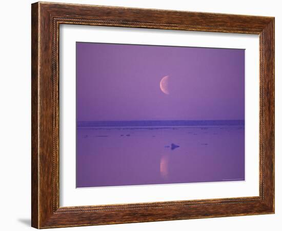 Foxe Basin, Baffin Island, Canadian Arctic, Canada-Stuart Westmoreland-Framed Photographic Print