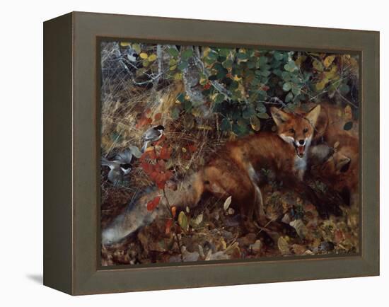 Foxes, 1886-Bruno Andreas Liljefors-Framed Premier Image Canvas