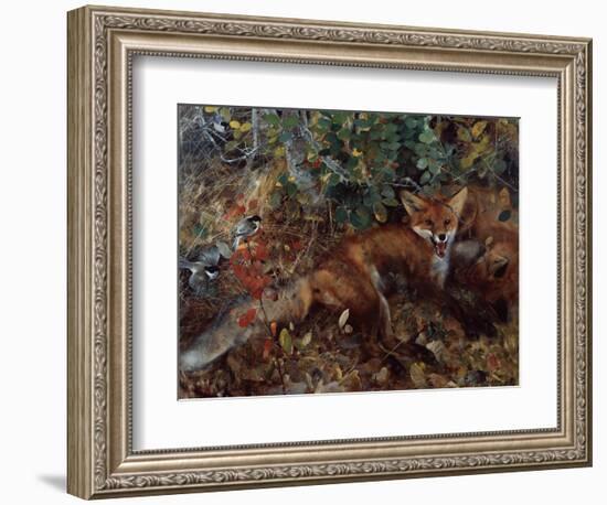 Foxes, 1886-Bruno Andreas Liljefors-Framed Giclee Print