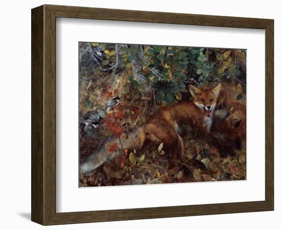 Foxes, 1886-Bruno Andreas Liljefors-Framed Giclee Print