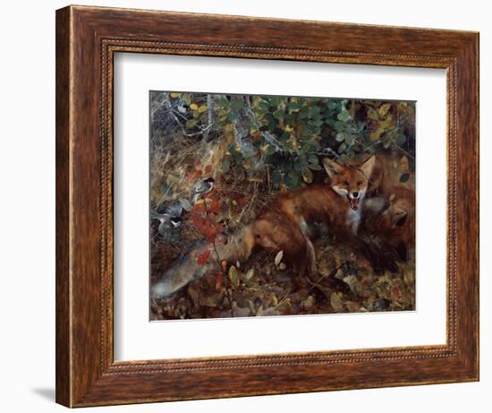 Foxes, 1886-Bruno Andreas Liljefors-Framed Giclee Print