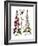 Foxglove And Hawkweed-Besler Basilius-Framed Giclee Print