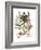 Foxglove And Herb Paris-Besler Basilius-Framed Giclee Print