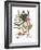 Foxglove And Herb Paris-Besler Basilius-Framed Giclee Print