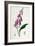 Foxglove (Digitalis Purpure), 19th Century-null-Framed Giclee Print