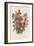 Foxglove (Digitalis Purpure) (Centr), C1885-null-Framed Giclee Print