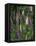 Foxglove Garden-Anna Miller-Framed Premier Image Canvas