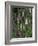 Foxglove Garden-Anna Miller-Framed Photographic Print