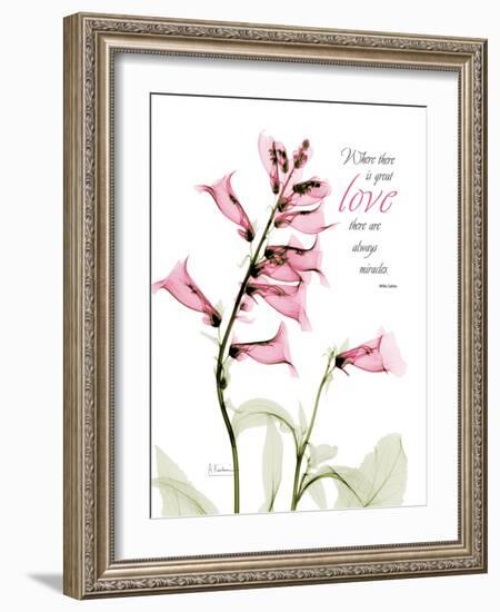 Foxglove Love-Albert Koetsier-Framed Art Print