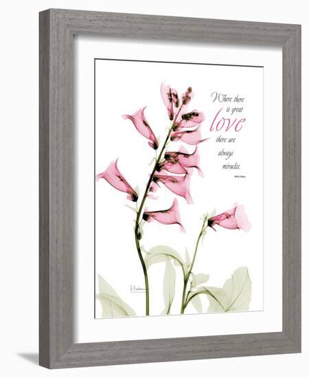 Foxglove Love-Albert Koetsier-Framed Art Print