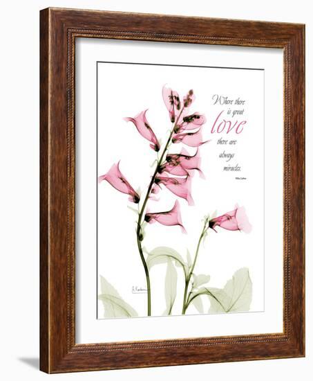 Foxglove Love-Albert Koetsier-Framed Art Print