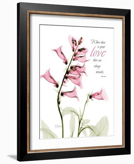 Foxglove Love-Albert Koetsier-Framed Art Print