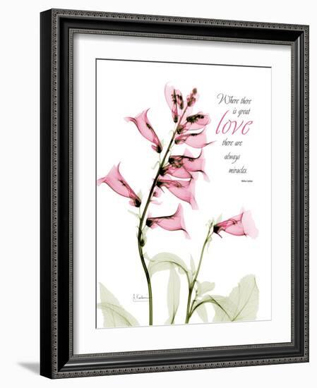 Foxglove Love-Albert Koetsier-Framed Art Print