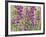 Foxglove-Don Paulson-Framed Giclee Print