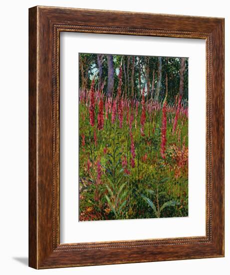 Foxgloves, c.1916-Georges Lacombe-Framed Giclee Print