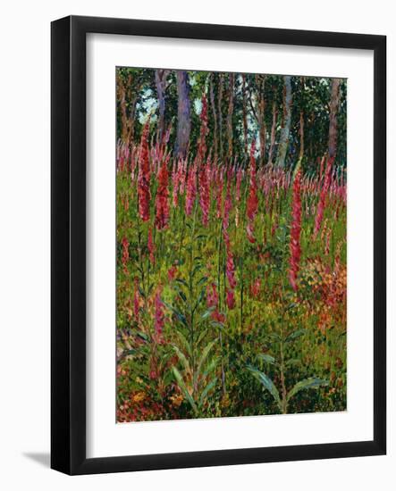 Foxgloves, c.1916-Georges Lacombe-Framed Giclee Print