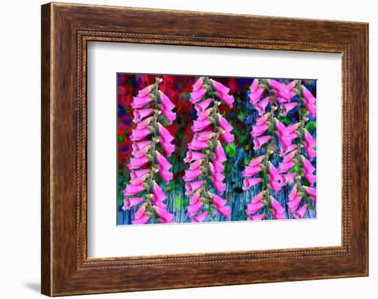 Foxgloves on parade-Claire Westwood-Framed Premium Giclee Print