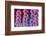 Foxgloves on parade-Claire Westwood-Framed Premium Giclee Print