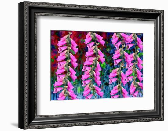 Foxgloves on parade-Claire Westwood-Framed Premium Giclee Print