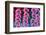 Foxgloves on parade-Claire Westwood-Framed Premium Giclee Print
