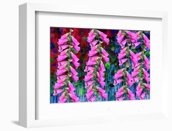 Foxgloves on parade-Claire Westwood-Framed Premium Giclee Print