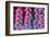 Foxgloves on parade-Claire Westwood-Framed Art Print