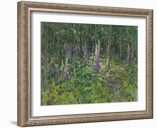 Foxgloves-Susan Ryder-Framed Giclee Print