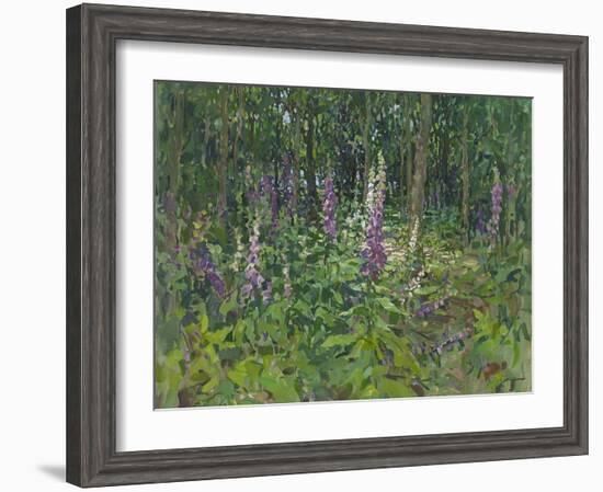 Foxgloves-Susan Ryder-Framed Giclee Print