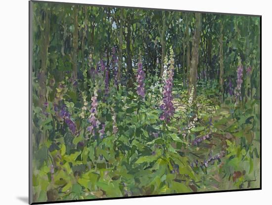 Foxgloves-Susan Ryder-Mounted Giclee Print