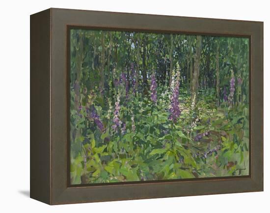 Foxgloves-Susan Ryder-Framed Premier Image Canvas